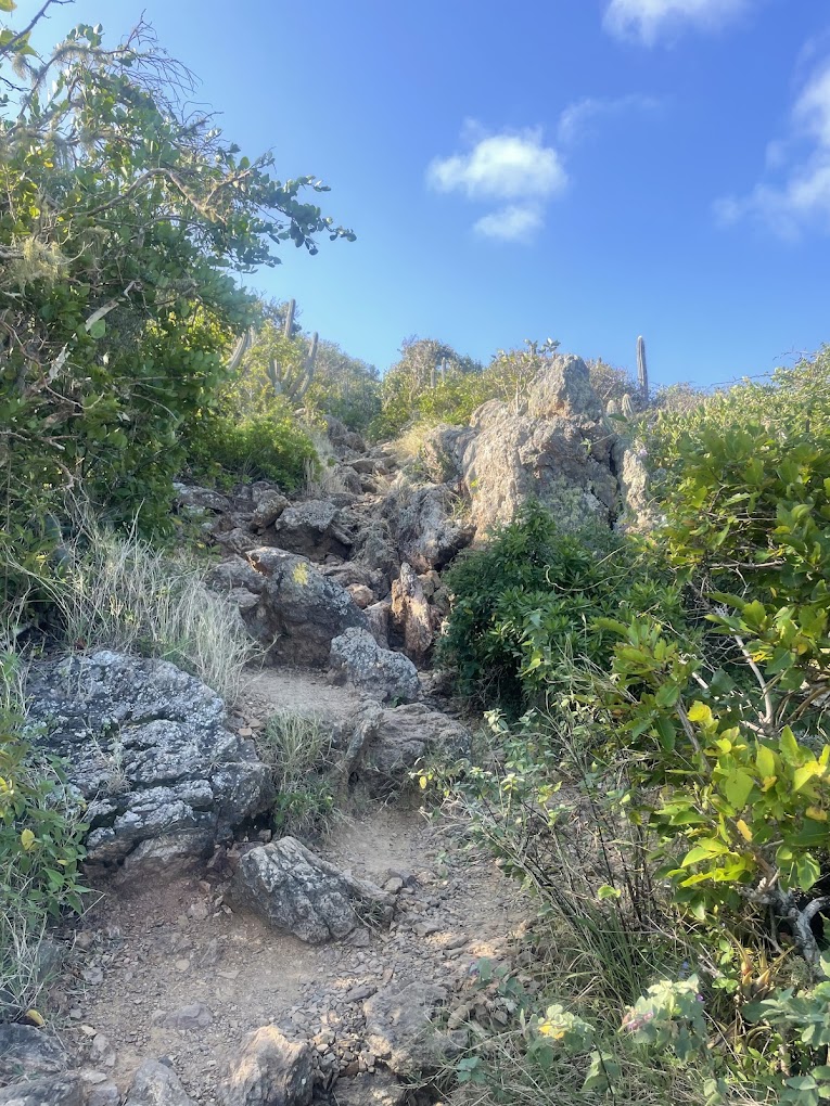 Christoffel National Park 3