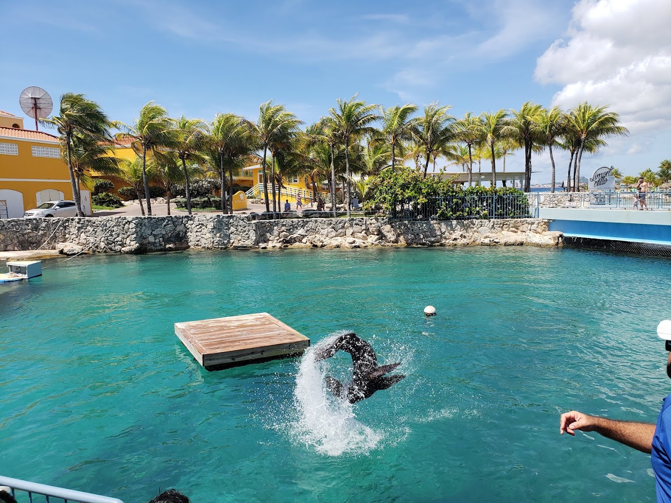 Curaçao Sea Aquarium 2