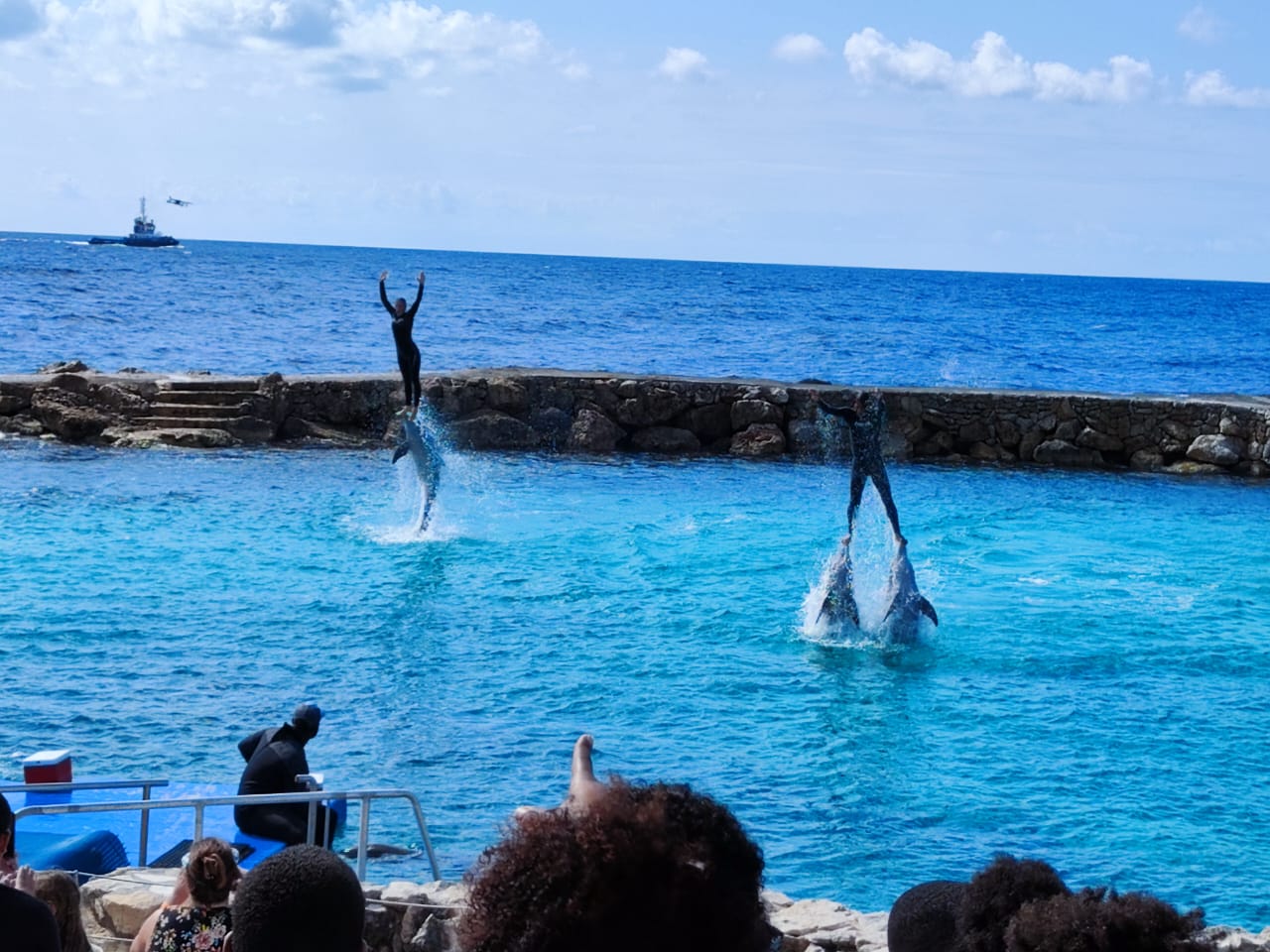 Curaçao Sea Aquarium 3