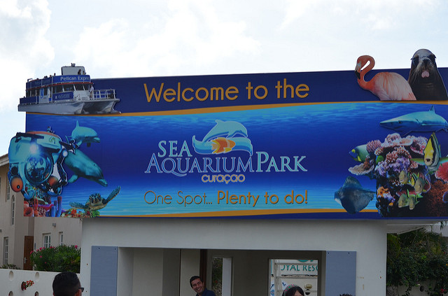 Curaçao Sea Aquarium 4