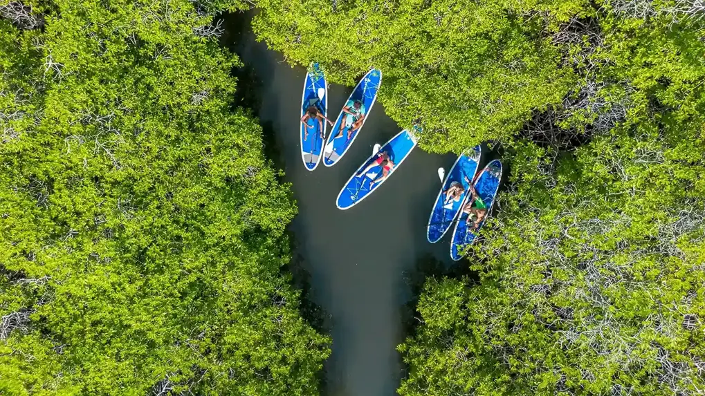 Kayaking in Spanish Water (Spaanse Water)