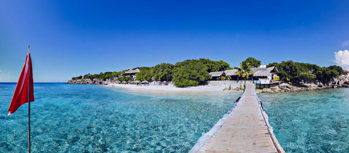 Playa Kalki (Alice in Wonderland) 2